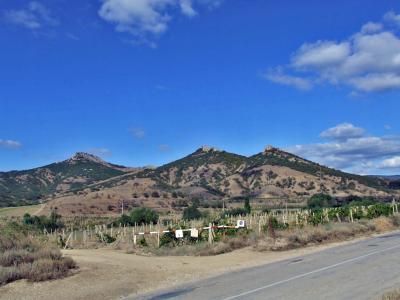 Прикрепленное изображение: DSCF7754.jpg